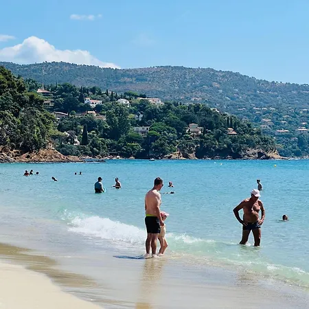 Le Soleil Bleu - Calme, Terrasse Et Vue Lejlighed Le Lavandou